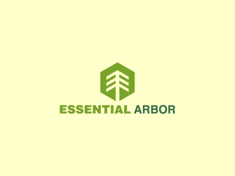 Logo design sample from the archive collection 16