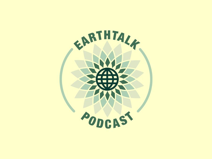Logo design sample from the archive collection 36