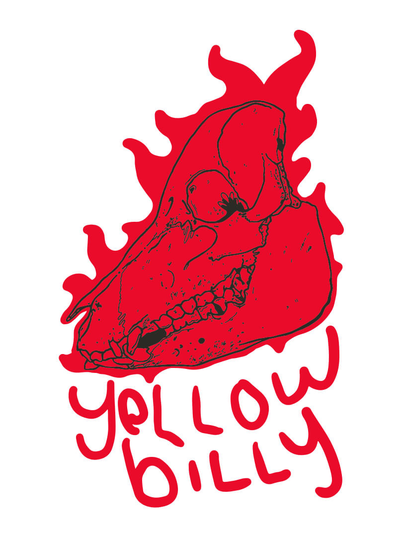 Skull Illustration for Yellow Billy